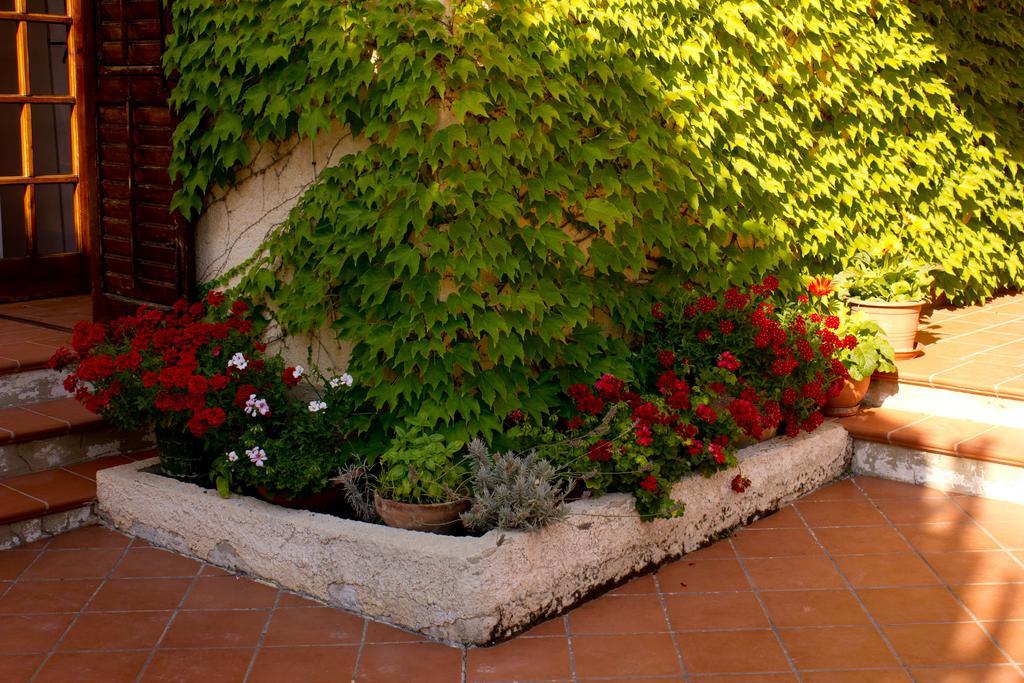 Casa Del Falso Pepe - Scala Dei Turchi Realmonte Eksteriør billede