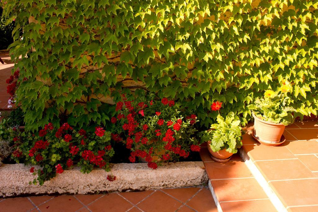 Casa Del Falso Pepe - Scala Dei Turchi Realmonte Eksteriør billede